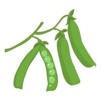 Set green pea pods on a twig, isolated on white vector