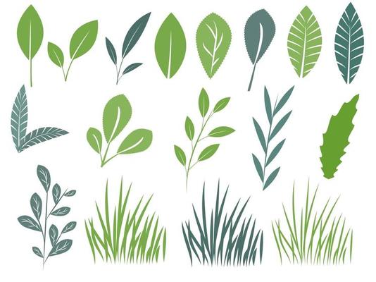 Set of green leaves, tree branches and grass