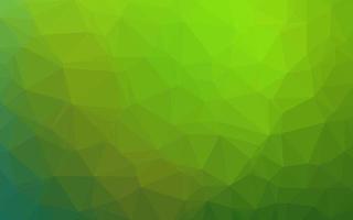 Light Green vector triangle mosaic texture.