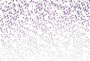 Light Purple vector backdrop with dots.