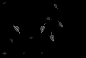 Plantilla de dibujo vectorial gris plateado oscuro. vector