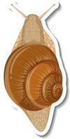 A sticker template with a snail isolated vector