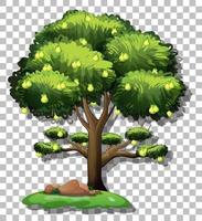 Pear tree isolated vector