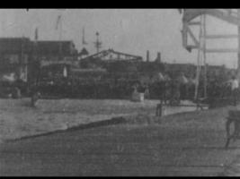 Tauchpferde im Jahr 1899
