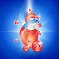 Coenzyme Q10 and heart. Substance for maintaining cardiac activity. vector