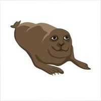 Sealion Color Clipart Vector Illustration Design