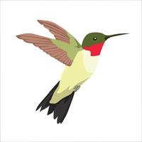 Humming Bird Color Clipart Vector Illustration Design