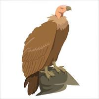 Vulture Color Clipart Vector Illustration Design