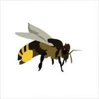 Diseño de ilustración de vector de imágenes prediseñadas de color de abeja de miel