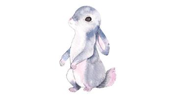Watercolor Illustration of Little Bunny vector