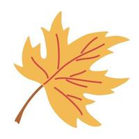 Yellow Maple leaf. Colorful autumn leaf. vector