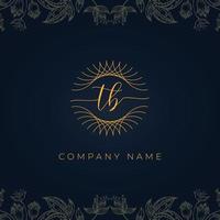 Elegant luxury letter TB logo. vector