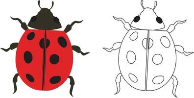 Ladybug beetle ladybird Illustration Fill and Outline