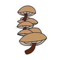 Cartoon mushroom for autumn design. Forest vector