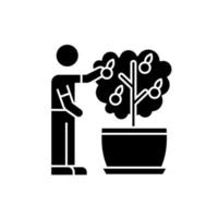 Collecting fruit from mini citrus tree black glyph icon vector