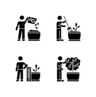 Indoor gardening process black glyph icons set on white space vector