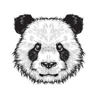 panda cute head, drawing vector