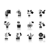 Houseplants drop shadow black glyph icons set vector