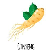 Ginseng superfood root for template farmer market, label, packing. vector