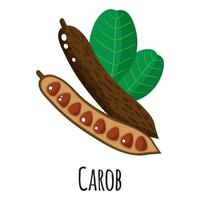 Carob superfood plant for template farmer market, label, packing. vector