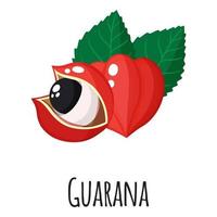 Guarana superfood fruit for template farmer market, label, packing. vector