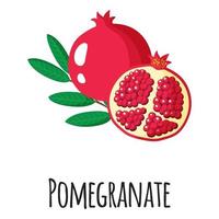 Pomegranate superfood fruit for template farmer market, label, packing vector