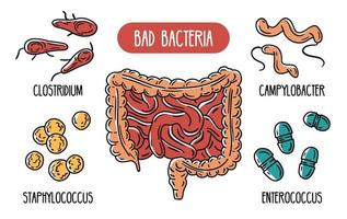 infografías vectoriales de las bacterias intestinales humanas malas. vector