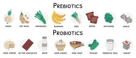 fuentes de productos alimenticios prebióticos y probióticos vector