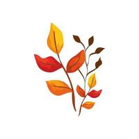 season autumn branches with leafs vector