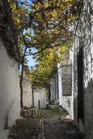 Cobbled street in Berat old town in Albania photo