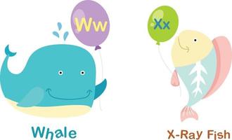 Alphabet Letter W-whale X-x-ray fish vector