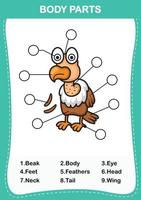 escribe el número correcto de partes del cuerpo vector