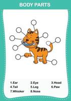 cat vocabulary part of body,Write the correct numbers of body parts vector