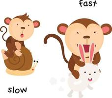 Opposite slow and fast illustration vector