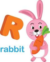 Ilustración aislada alfabeto letra r conejo vector