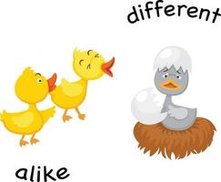 Opposite alike and different vector illustration