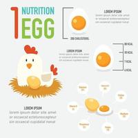 One egg nutrition vector