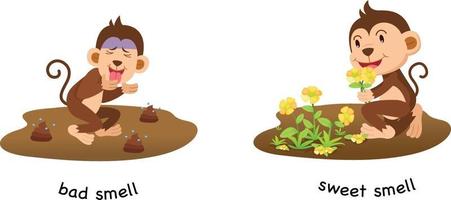 Opposite bad smell and sweet smell vector illustration