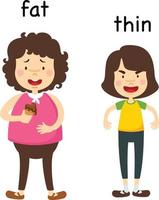 Opposite fat and thin vector illustration