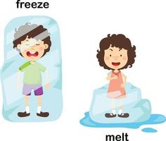 Opposite freeze and melt vector illustration