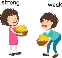 Opposite strong and weak  and clever vector illustration