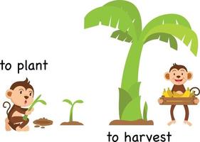 Opposite to plant and to harvest vector illustration