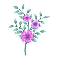 Wild flowers and leaves illustration isolated on white background. vector