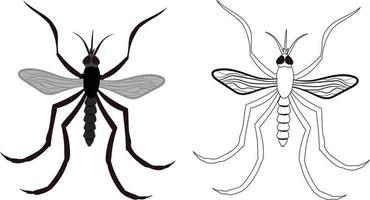 Realistic Illustration of Mosquito vector