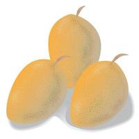 fruta fresca de mango vector
