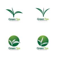 Green tea leaf logo vector icon illustration design