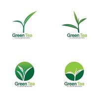 Green tea leaf logo vector icon illustration design