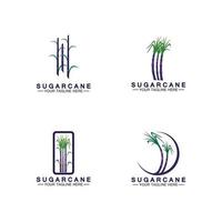 Sugar cane logo icon symbol vector illustration design template