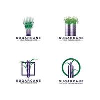Plantilla de diseño de ilustración de vector de símbolo de icono de logotipo de caña de azúcar