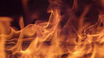 Nahaufnahme von Feuer brennt auf schwarzem Hintergrund in Zeitlupe video